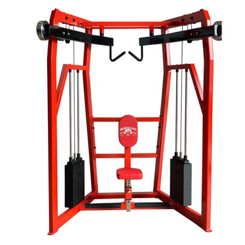Animal Dual Stack High Pulley Row